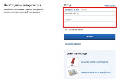Заполнение полей СНИЛС и пароль